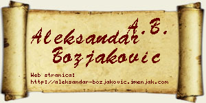 Aleksandar Božjaković vizit kartica